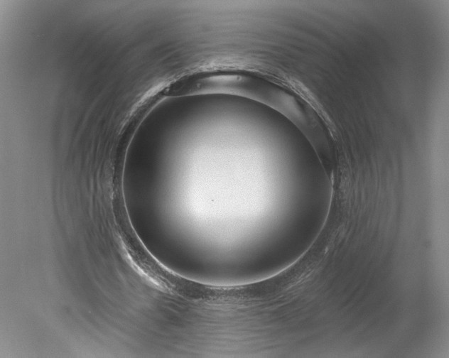 X0000078230530200611101012