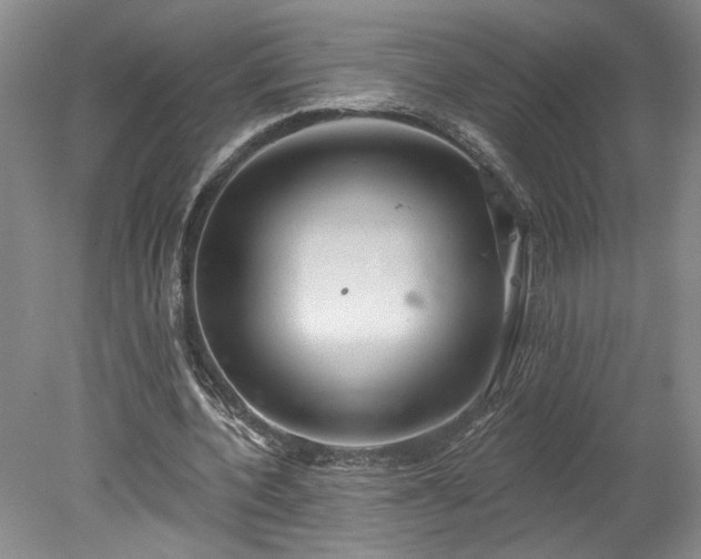 X0000078230532200611101012