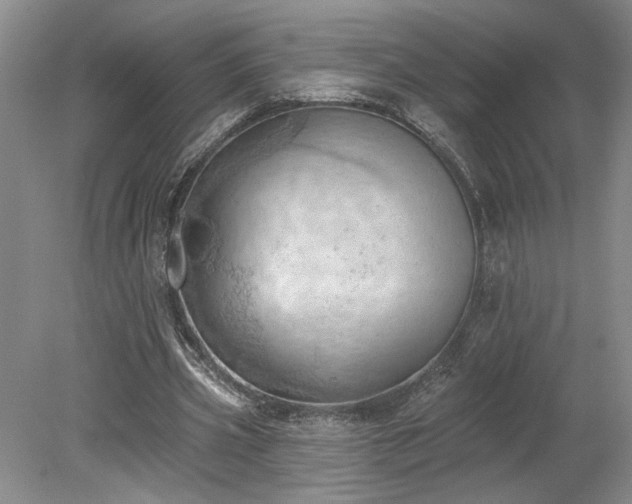 X0000078230533200611101012