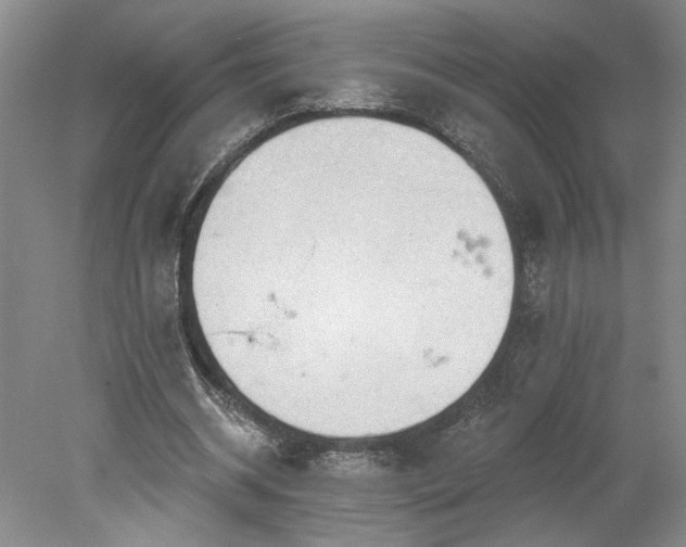 X0000078230534200611101012