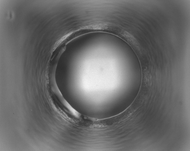 X0000078230536200611101012