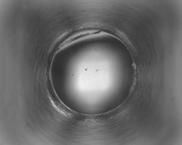 X0000078230538200611101012