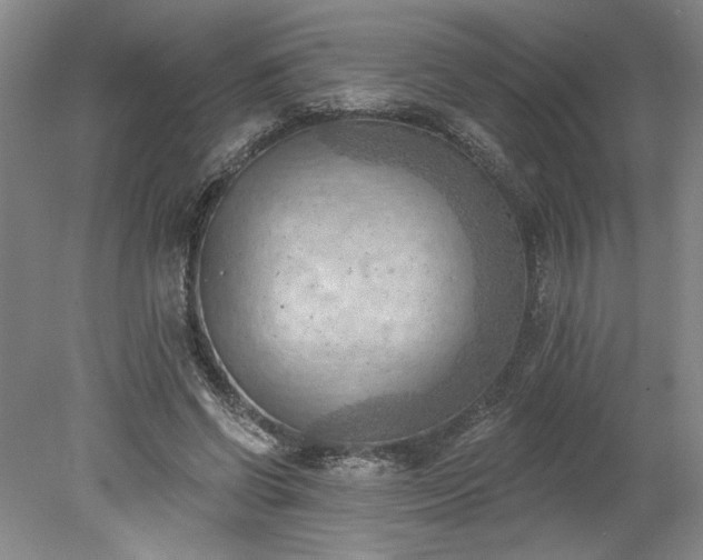 X0000078230542200611101012