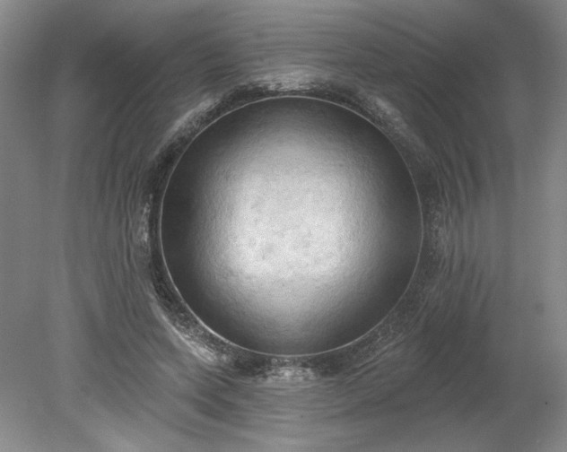 X0000078230543200611101012