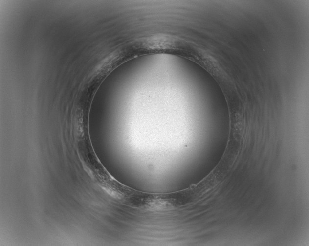 X0000078230547200611101012