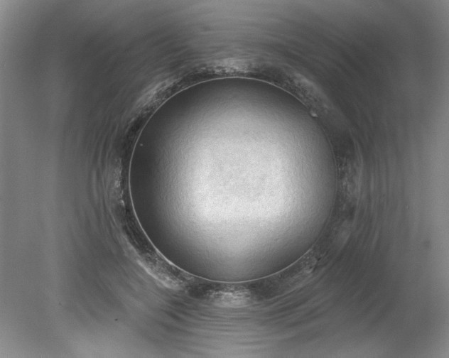 X0000078230548200611101012