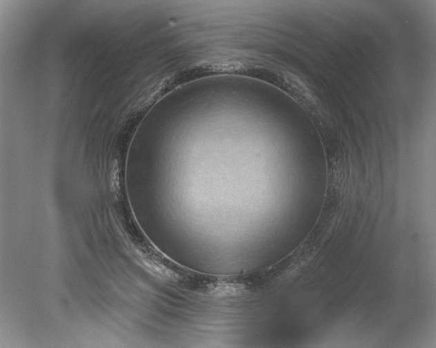 X0000078230549200611101012