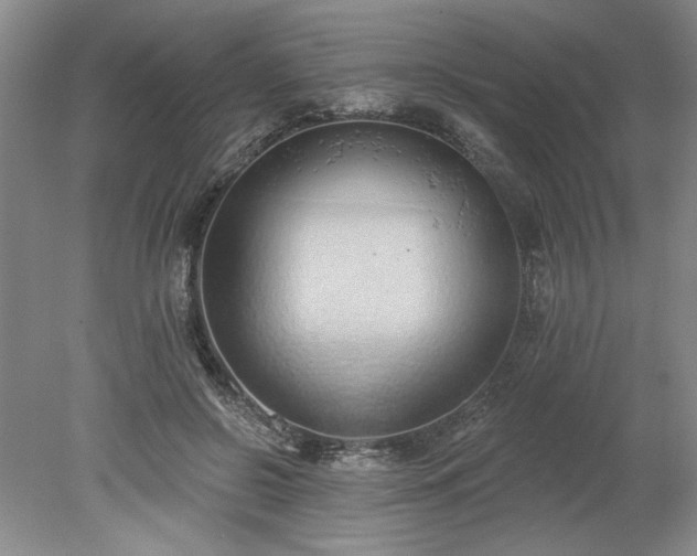 X0000078230550200611101012