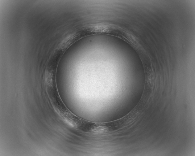 X0000078230551200611101012