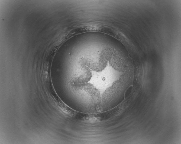 X0000078230553200611101012