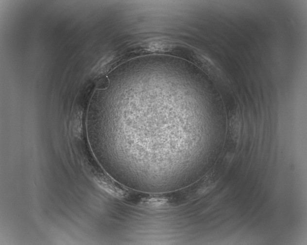 X0000078230554200611101012