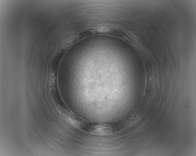 X0000078230555200611101012