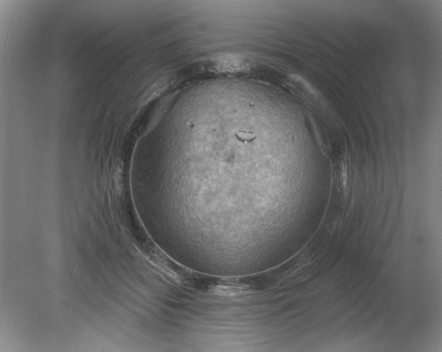 X0000078230556200611101012