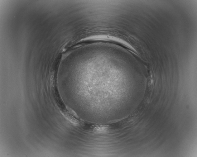 X0000078230560200611101012