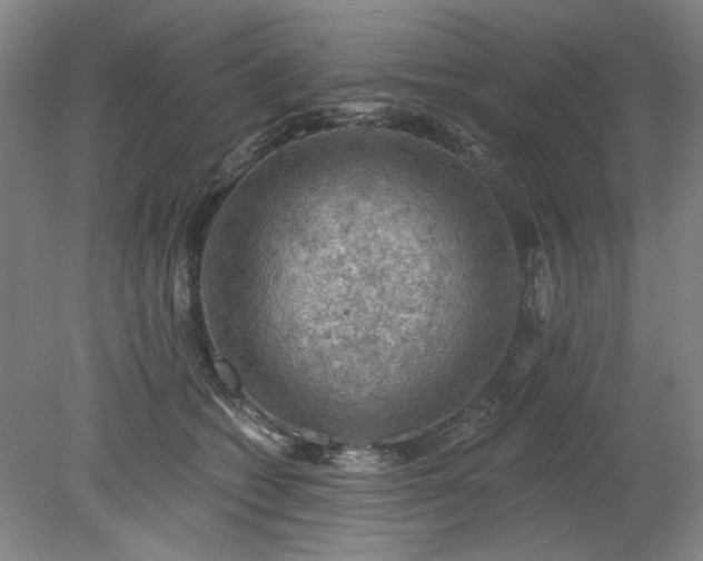 X0000078230562200611101012