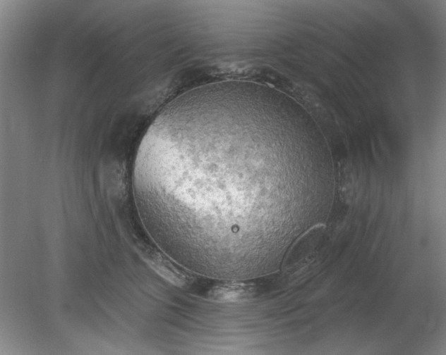 X0000078230563200611101012