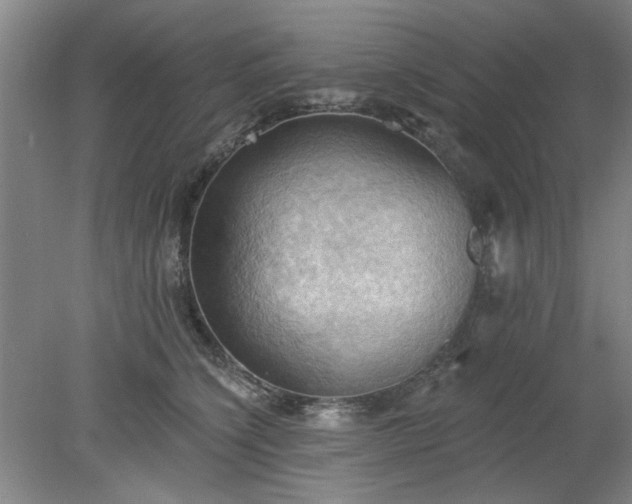 X0000078230564200611101012