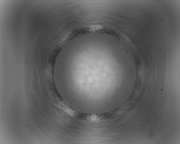 X0000078230565200611101012