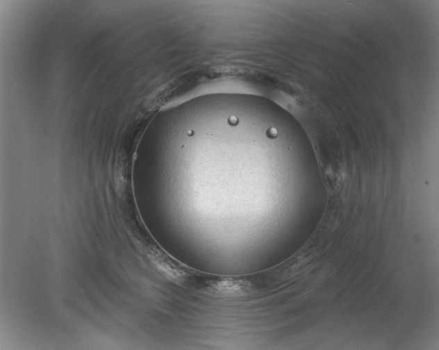 X0000078230566200611101012