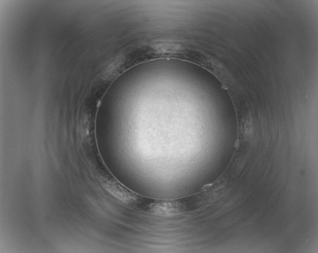 X0000078230567200611101012