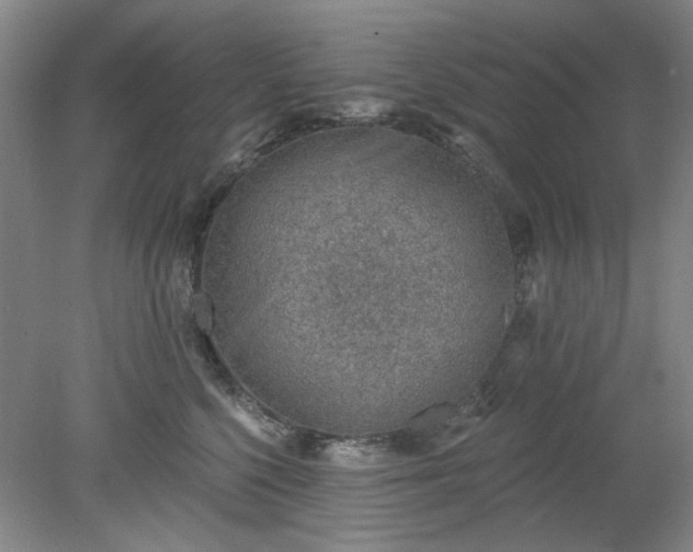 X0000078230568200611101012