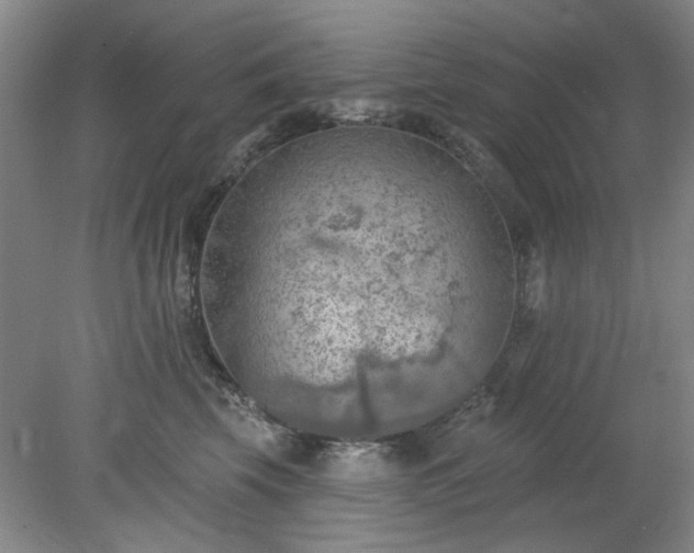 X0000078230569200611101012