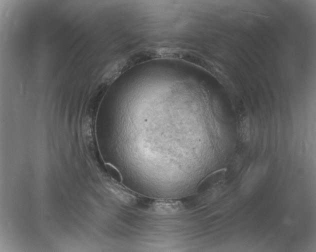 X0000078230571200611101012