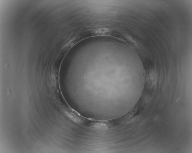 X0000078230572200611101012