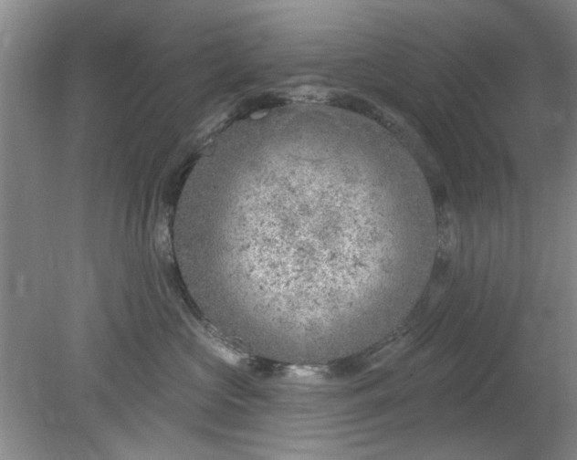 X0000078230573200611101012