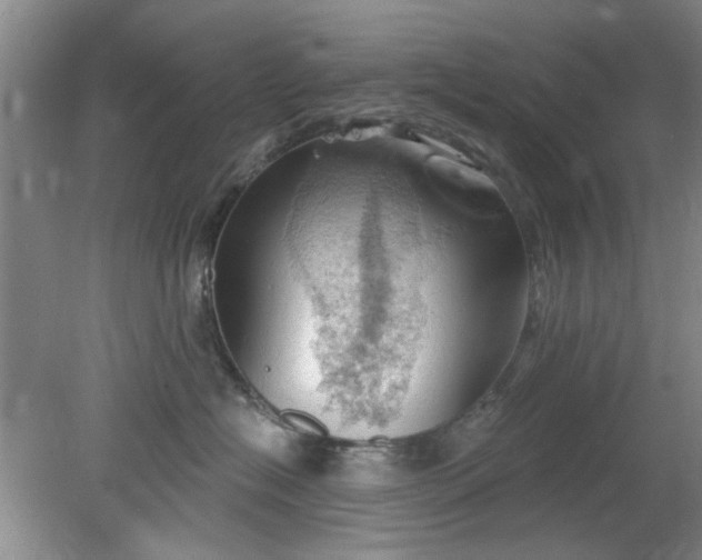 X0000078230574200611101012