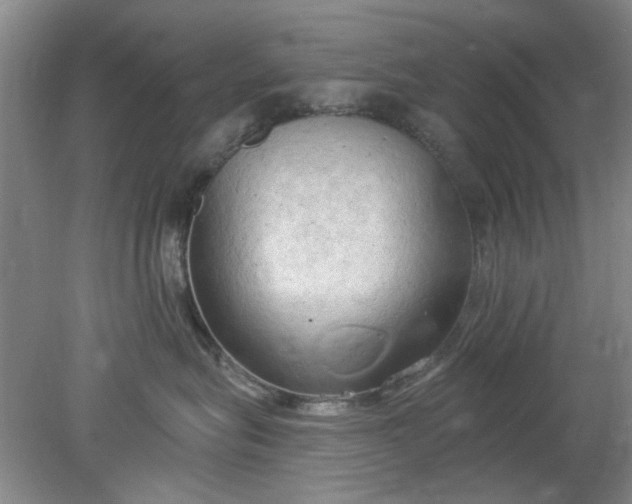 X0000078230575200611101012