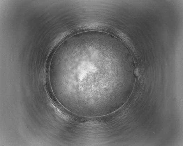 X0000078230578200611101012