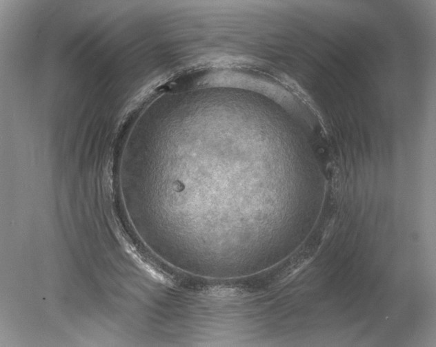 X0000078230581200611101012