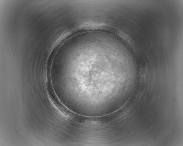 X0000078230582200611101012