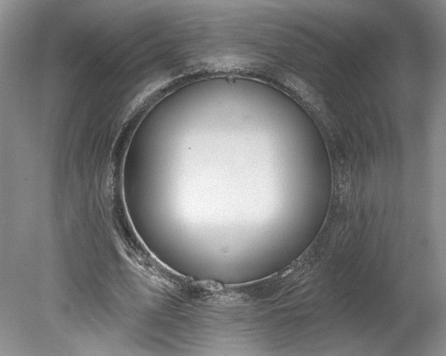 X0000078230583200611101012