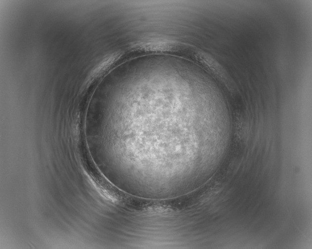 X0000078230586200611101012