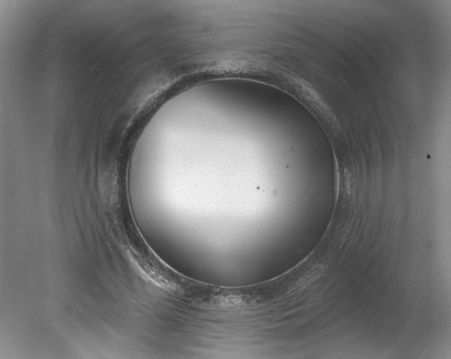 X0000078230588200611101012