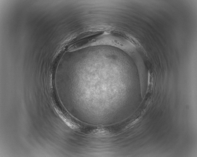 X0000078230589200611101011