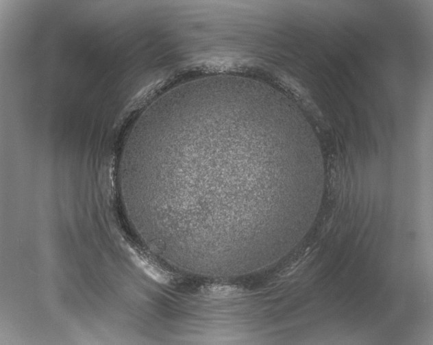 X0000078230590200611101011