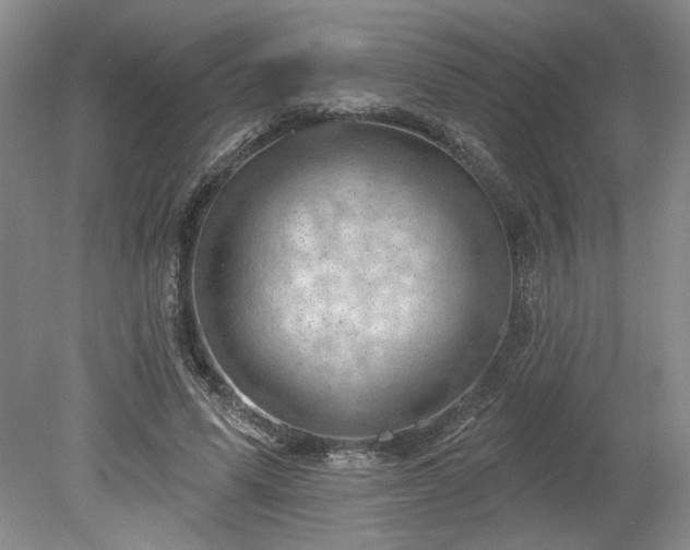 X0000078230591200611101011