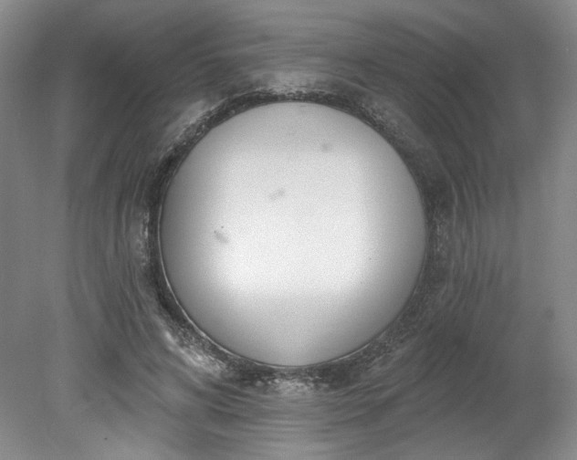 X0000078230592200611101011