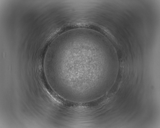 X0000078230593200611101011