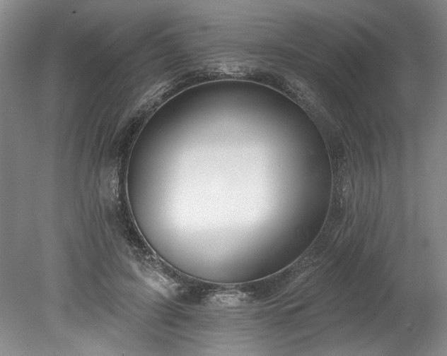 X0000078230595200611101011