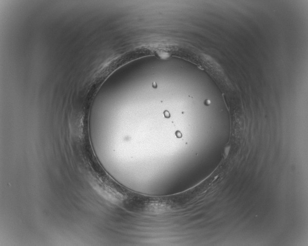 X0000078230596200611101011