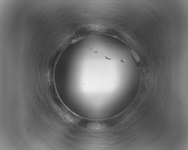 X0000078230597200611101011