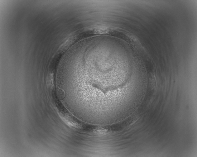 X0000078230598200611101011