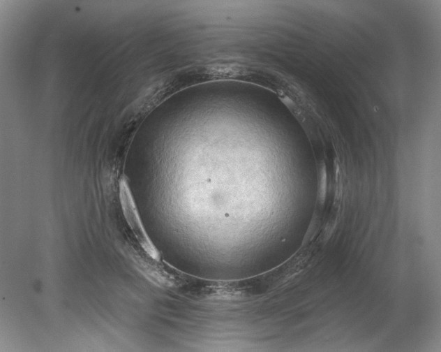 X0000078230601200611101011