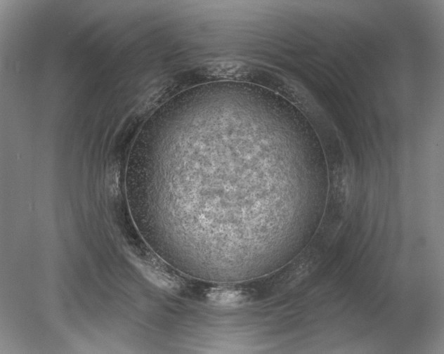 X0000078230602200611101011