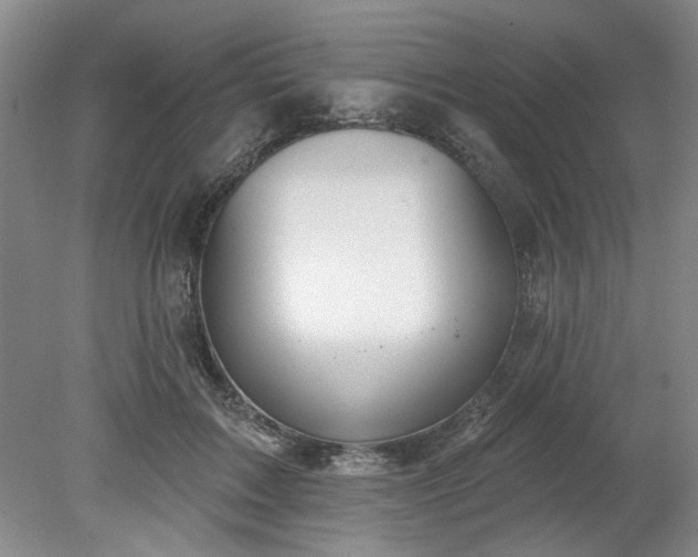 X0000078230603200611101011