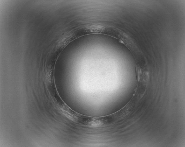 X0000078230604200611101011